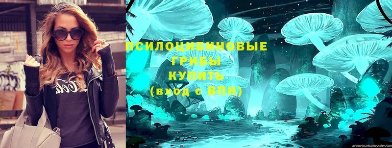 Галлюциногенные грибы Cubensis Ковров